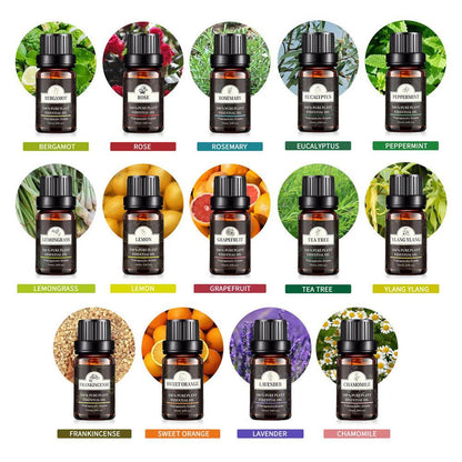 BreatheCozy™ Multi-Pack Essential Oils – 10 mL Tea Tree Aromatherapy Oil for Diffuser & Relaxation”